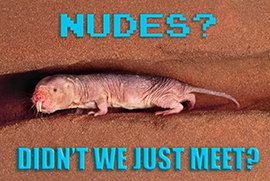 NUDES