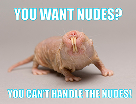 YOUWANTNUDES